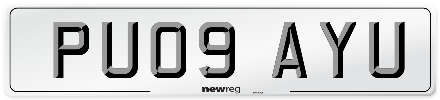 PU09 AYU Number Plate from New Reg